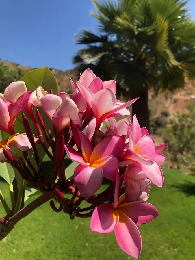 Finca Las Hierbas B&B Alora Bed & Breakfast