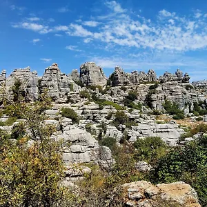 Luxe tent Cactus Hill - Safari Tents - Caminito Del Rey, Alora