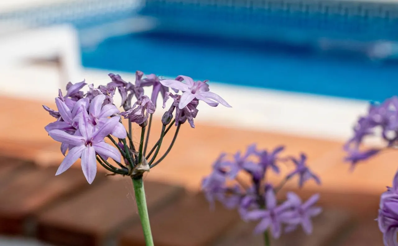 Finca Las Hierbas B&B Alora Couette-café